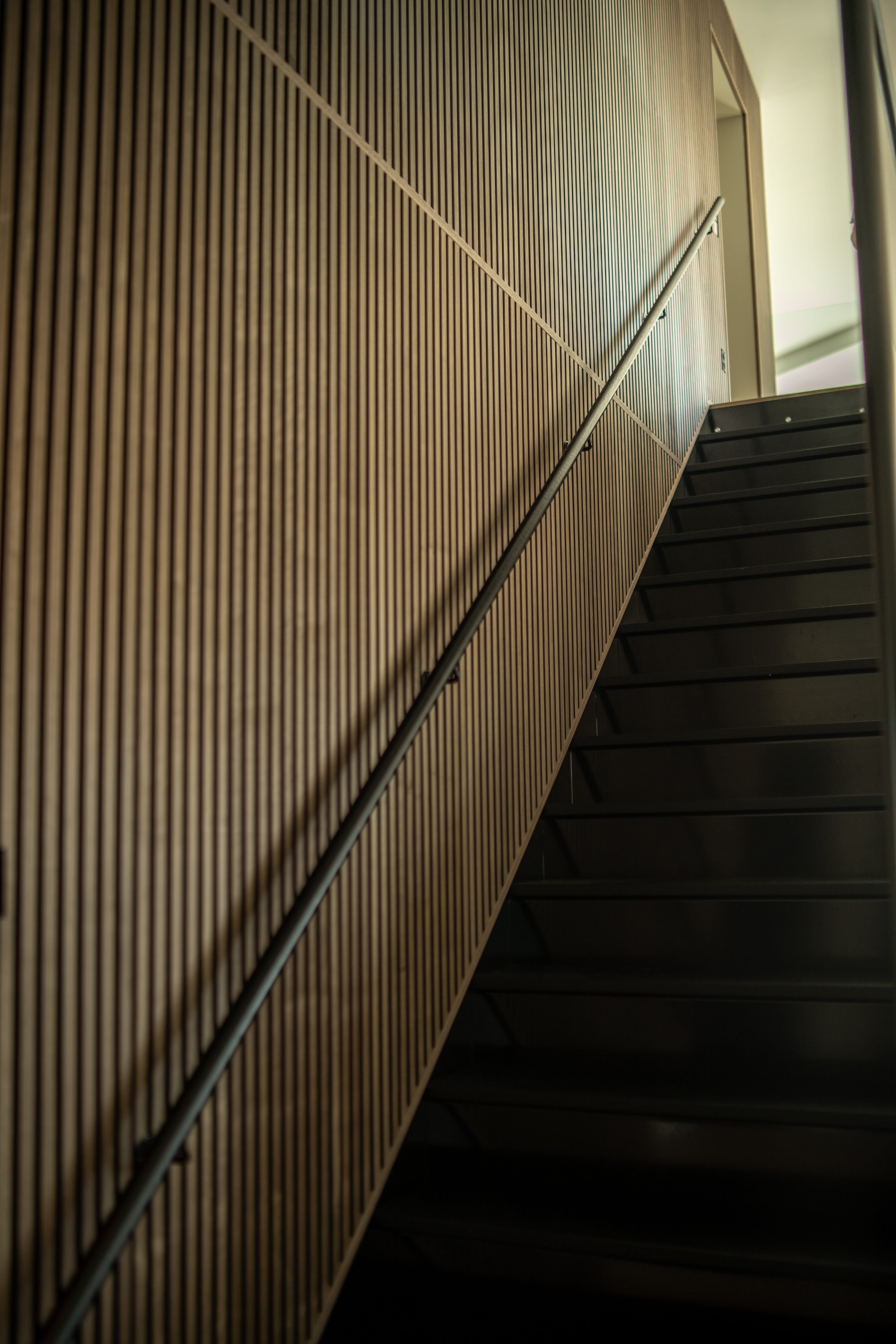 Eine moderne Treppe mit schwarzen Stufen wird durch eine vertikale Akustik-Lamellenwand ergänzt, die von unten betrachtet ein minimalistisches, nordisches Aussehen hat.