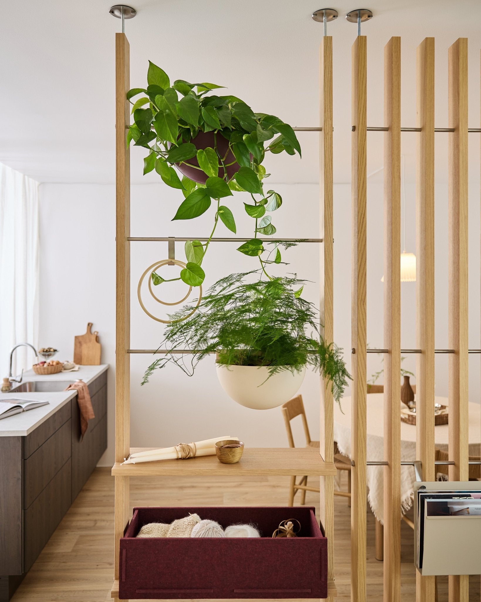 Der Raumteiler WoodUpp Gro Soft Pocket mit der Box BM2 Ox Red und zwei hängenden Pflanzen trennt den Küchen- und den Essbereich in einer hellen, modernen Wohnung voneinander.